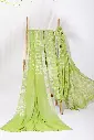 Light Green Pure Linen BP Saree