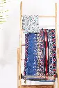BlueMist Maheshwari BP Saree